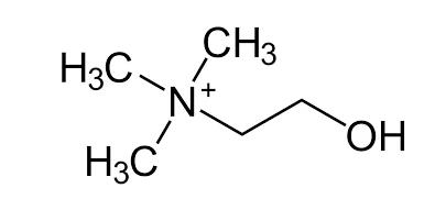 LgkOIOOhLt